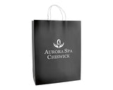 Brookvale Large Twist Handled Recyclable Paper Bags - Coloured