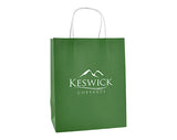 Brookvale Medium Twist Handled Recyclable Paper Bags - Coloured
