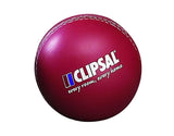 Cricket Ball Stress Toys