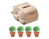 Egg Box Cress Growing Kits