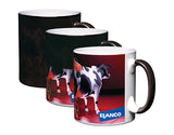 Durham Heat Changing Mugs