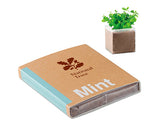 Mint Seed Growing Kits