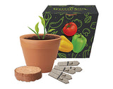 Recycled Pot Gardens