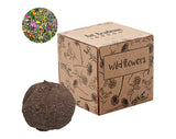 Wildflower Seed Bomb Growing Kits
