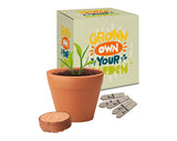 Boxed Recycled Pot Gardens
