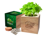 Desktop Wooden Cube Gardens