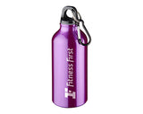 Michigan 400ml Carabiner Aluminium Water Bottles