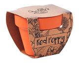 Poppy Terracotta Pots