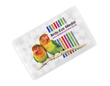Colourbrite Mints Frosted