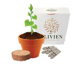 Terracotta Pot Gardens